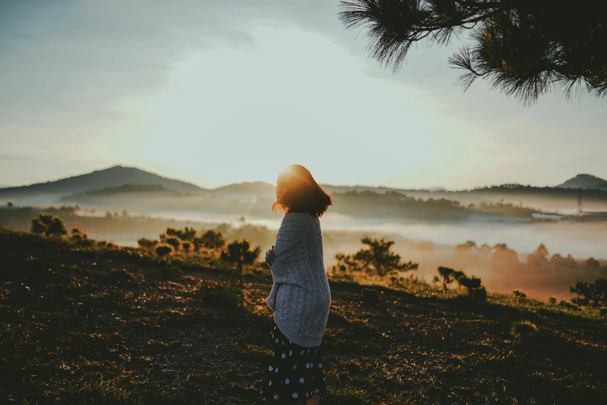 A Gentle Approach to the Job Search