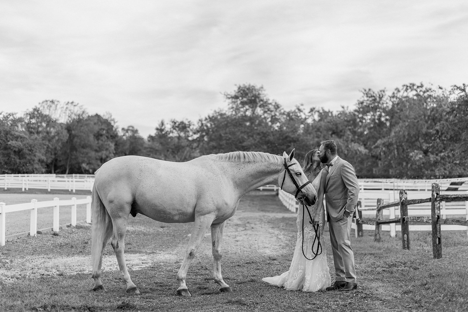 2022-Dun-Dor-Equestrian-0060_websize.jpg