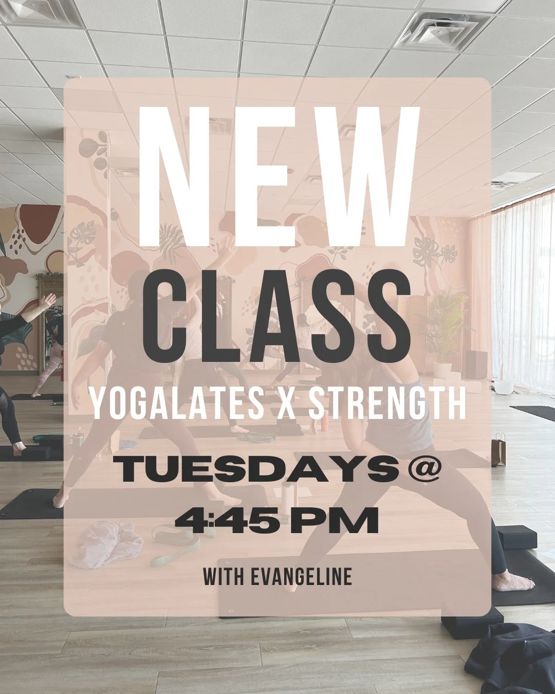 ✨ NEW CLASS AT CAPELLA ✨

Yoga-lates x Strength with Evangeline
🗓 Tuesdays at 4:45 PM

A refined, low-impact fusion of yoga, Pilates, and strength training designed to sculpt, lengthen, and restore.

This mat-based class blends slow, controlled Pila