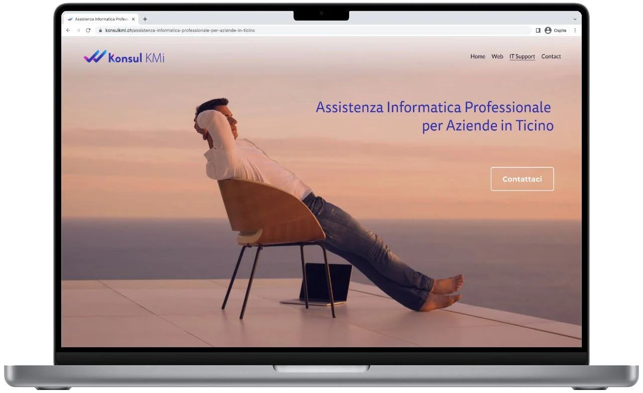 Assistenza Informatica Professionale</span>