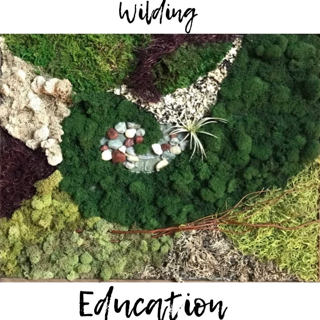 Wilding Education
