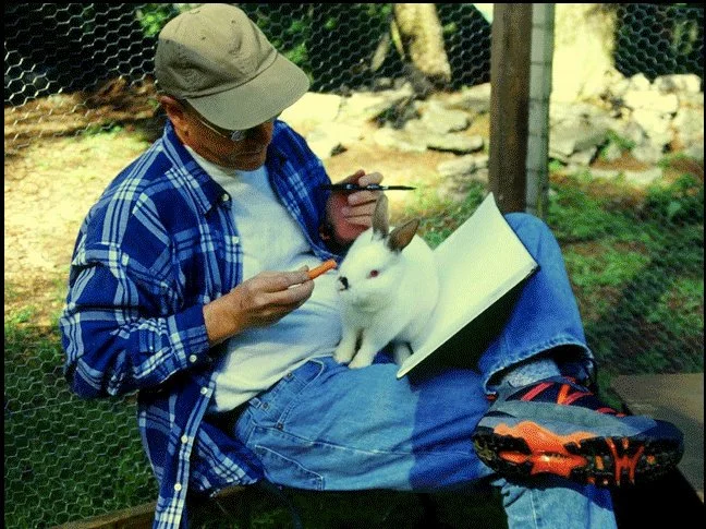 The Magic Rabbit — Richard Jesse Watson