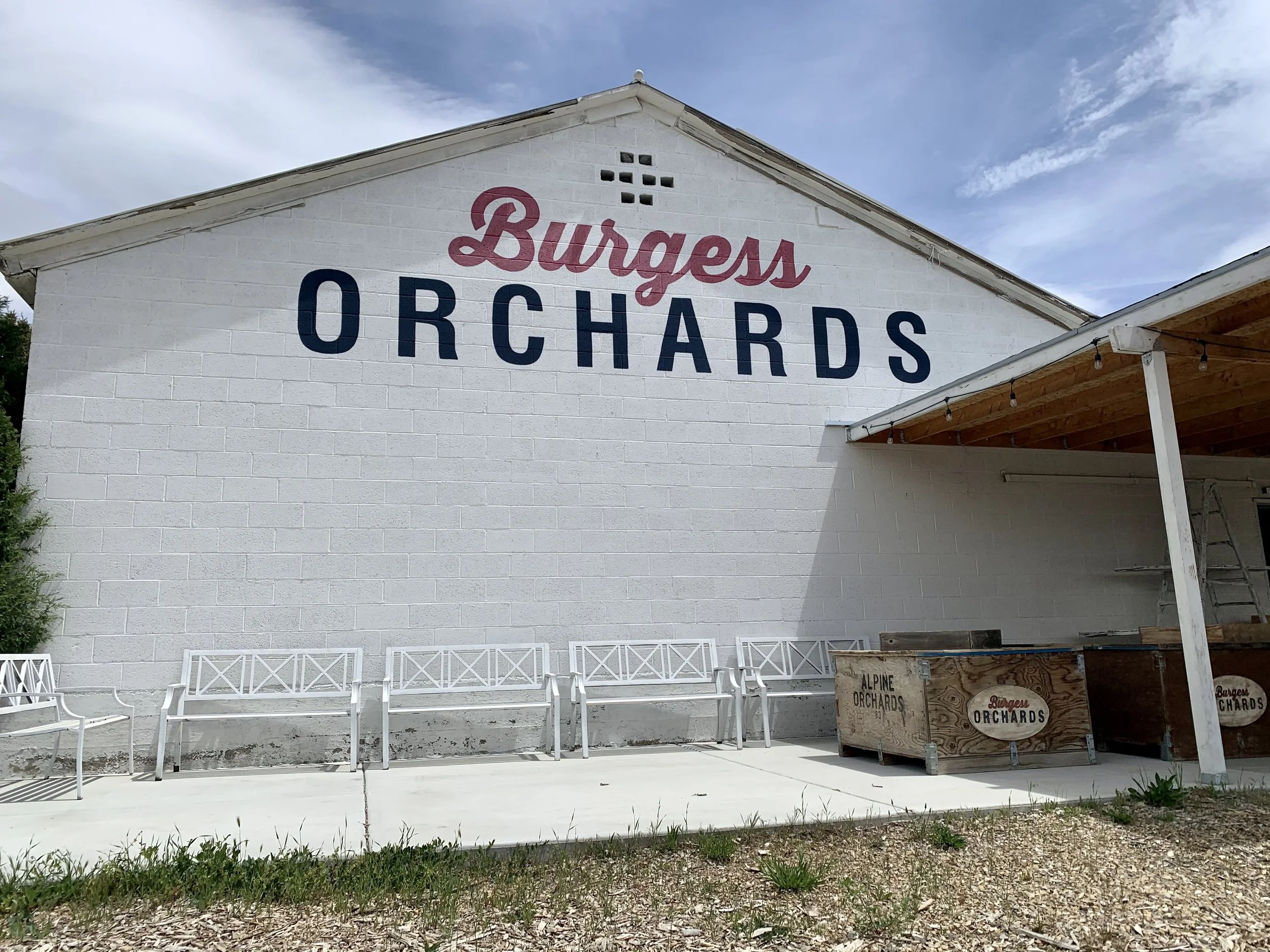 Cherry Hill Farms Locally Grown Cherries, Peaches, Apples