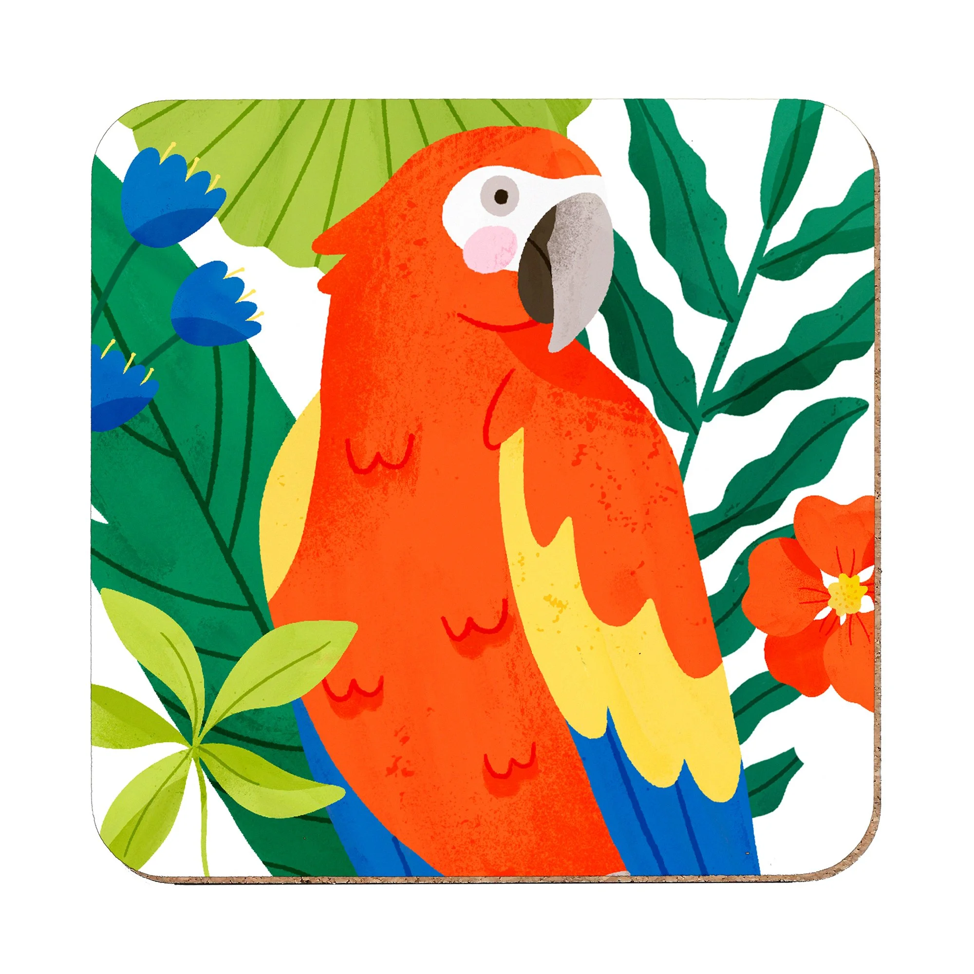 red-parrot-white.jpg