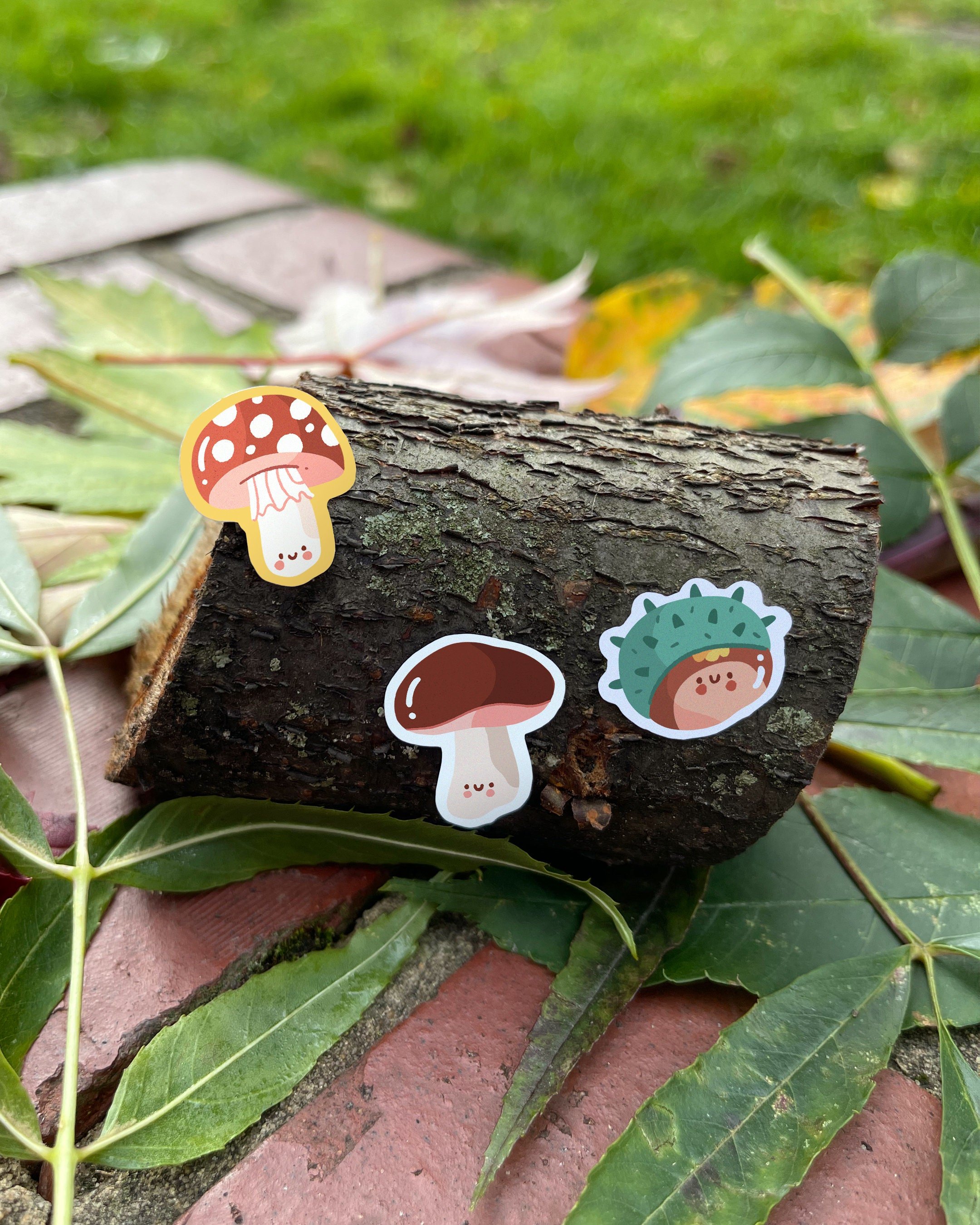 https://i.etsystatic.com/20739011/r/il/bcfa89/3456847229/il_fullxfull.3456847229_7bec.jpg