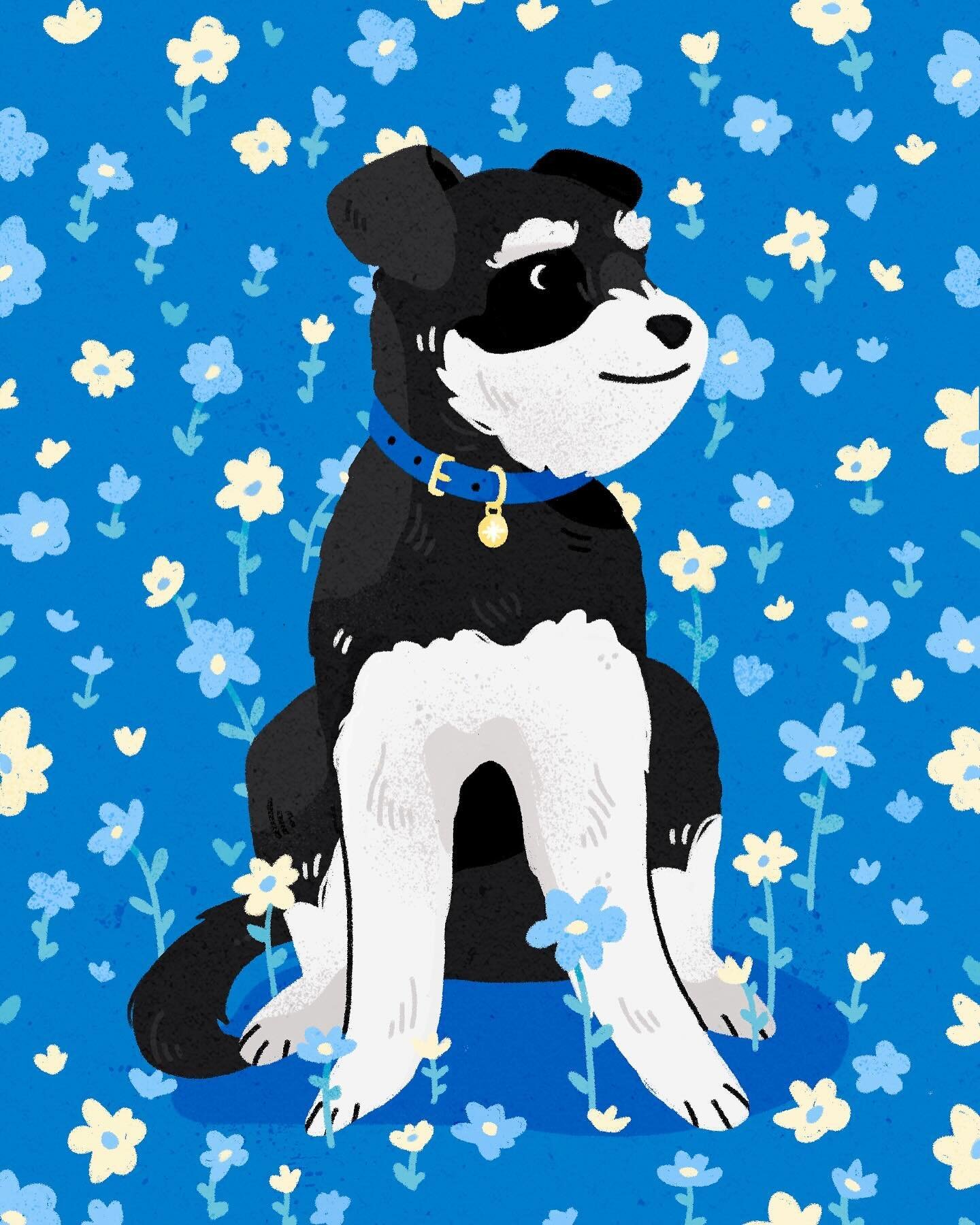A quick portrait of my fur baby Snowy 🐶

Started with a plain blue background but it felt like it was missing something so I added a few flowers&hellip; which turned into a whole background of them one hour later - couldn&rsquo;t stop myself 🙃🌼 


