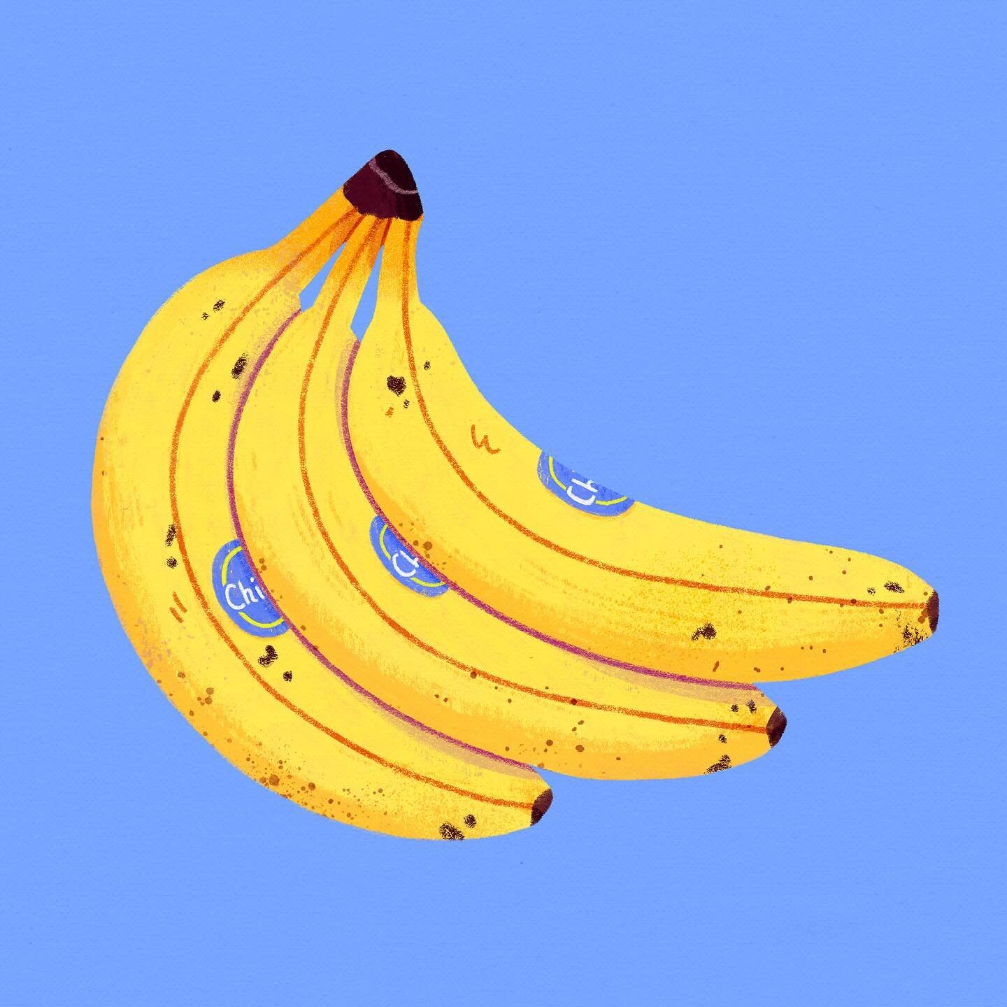 Bananas! 🍌 

Probably one food I couldn&rsquo;t live without haha. What&rsquo;s yours? 

Swipe right to see the drawing process video -&gt;

#bananaillustraition #banana #chiquitabanana #foodillustration #fruitillustration #fruitlover #illustratorlo