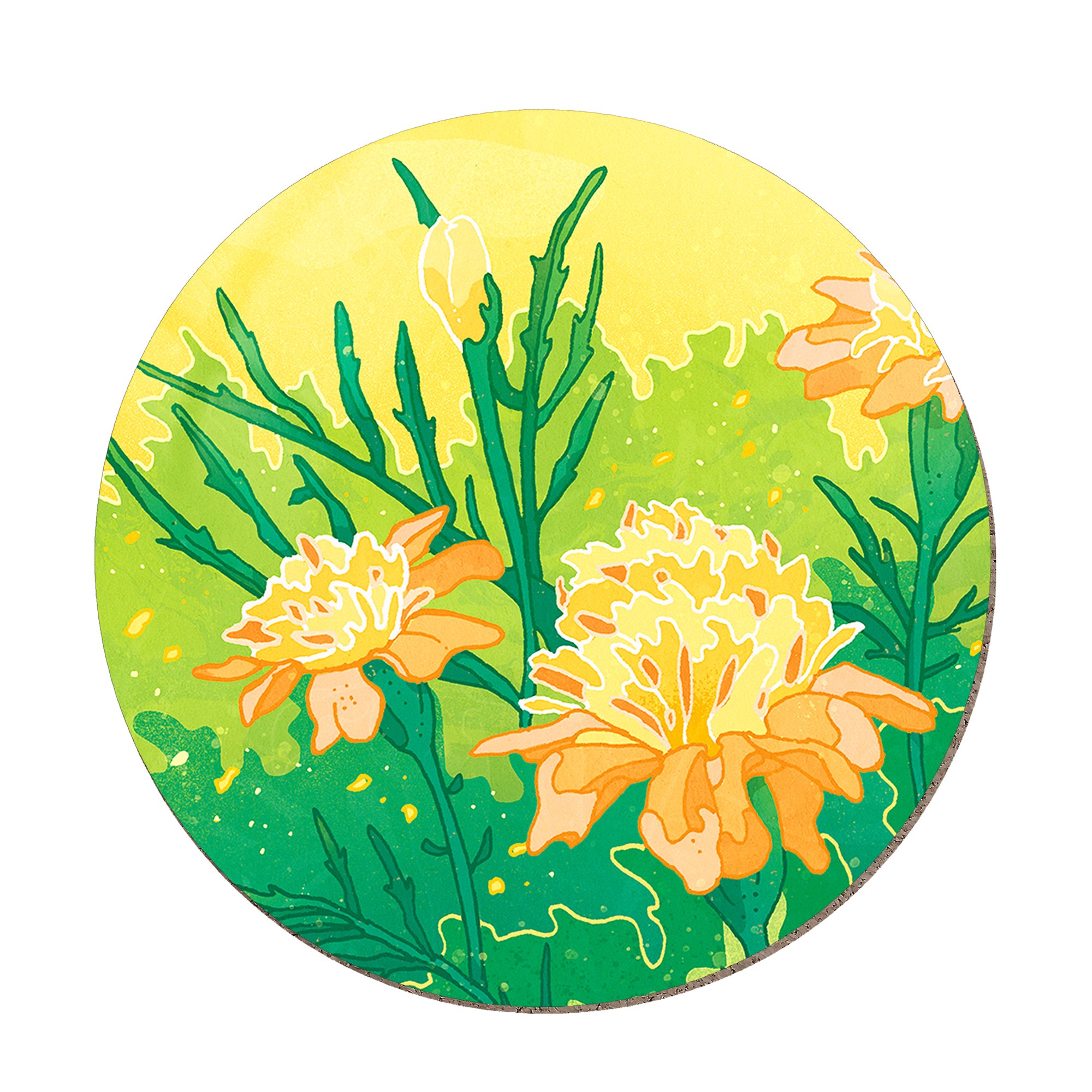yellow-flowers-white.jpg