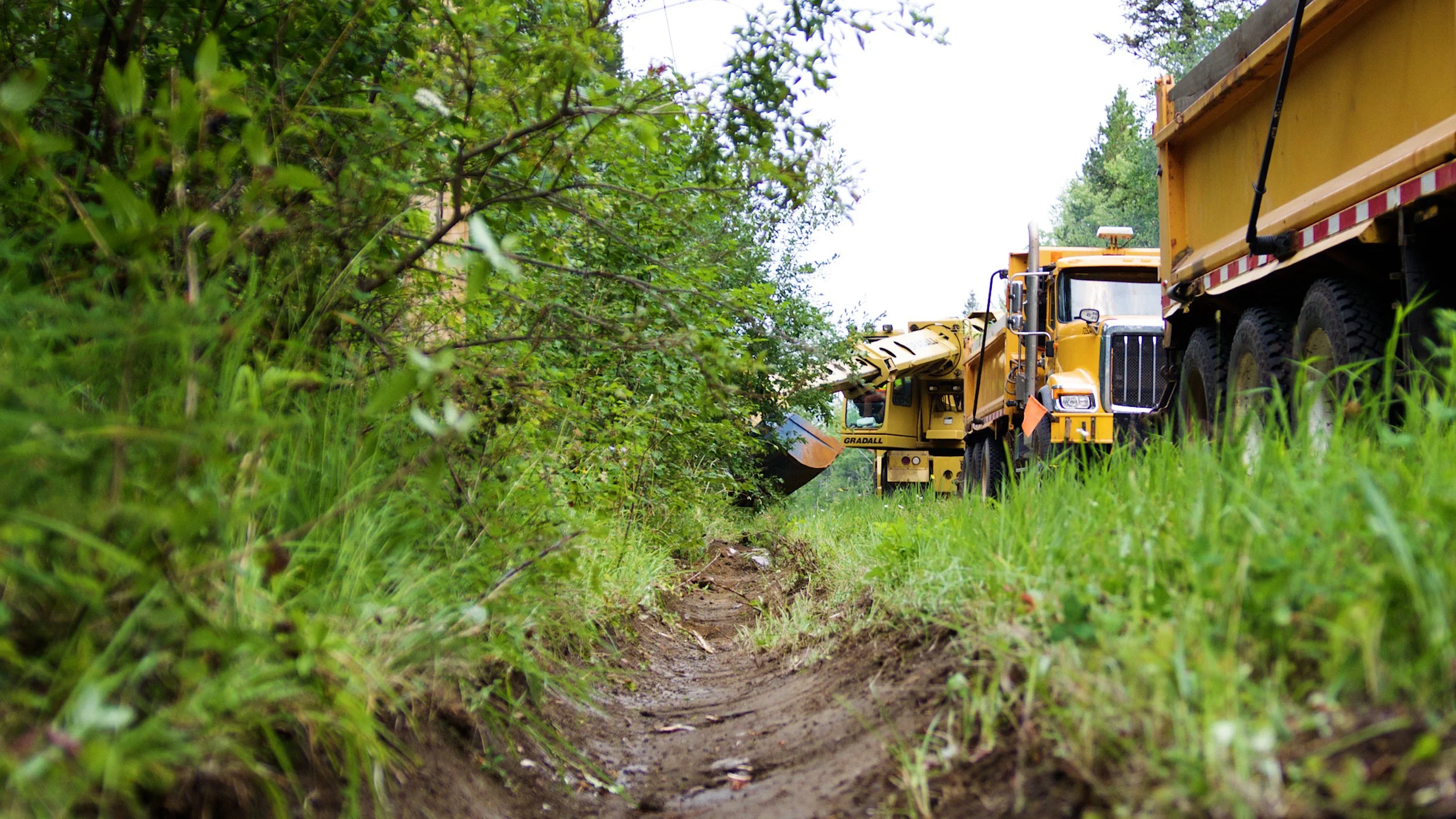 Road maintenance trucks working along a grassy roadside ditch in a forested area.