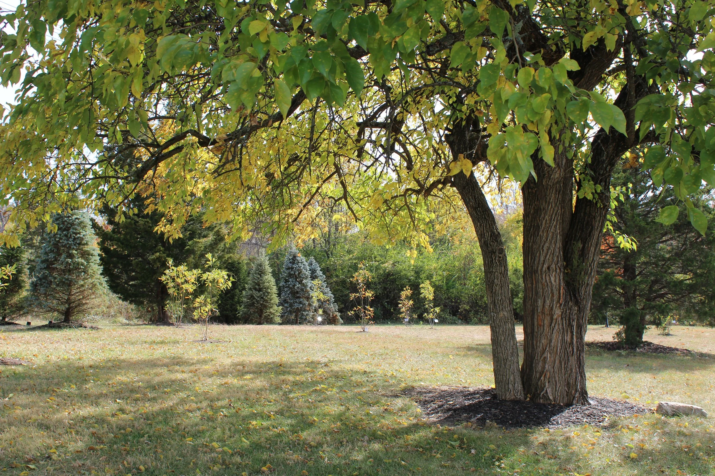 This is a scenic boho rustic view of the grounds at The Magnolia Barn award-winning reception hall outdoor barn wedding venue in Miamisburg at Magnolia Estate. Surrounded by the Greater Dayton, Columbus, and Cincinnati areas. 