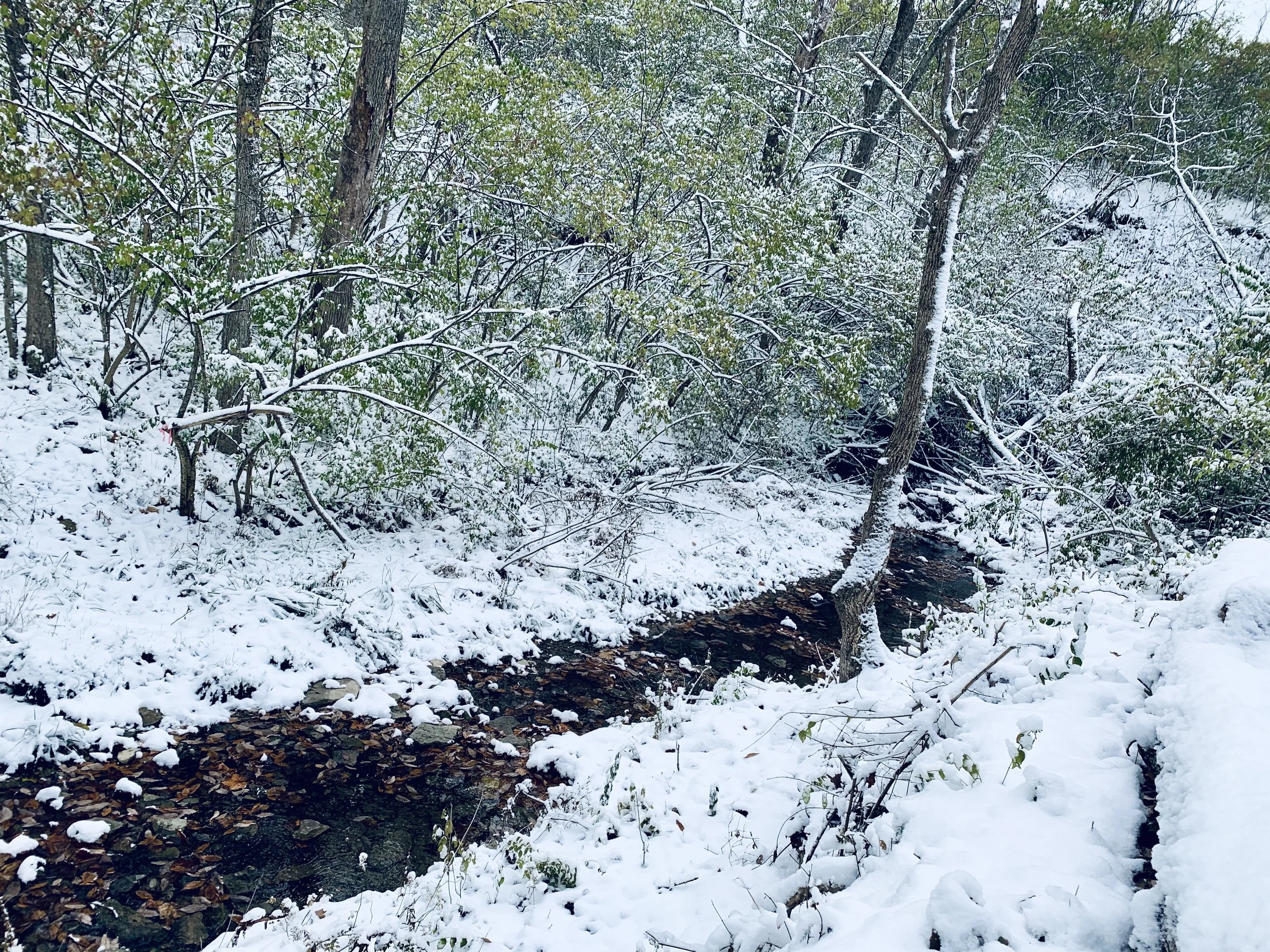 This is a scenic boho elegant rustic view of the grounds of the award-winning reception hall outdoor mansion wedding venue Rosewood Manor in Miamisburg at Magnolia Estate. Surrounded by the Greater Dayton, Columbus, and Cincinnati areas. 