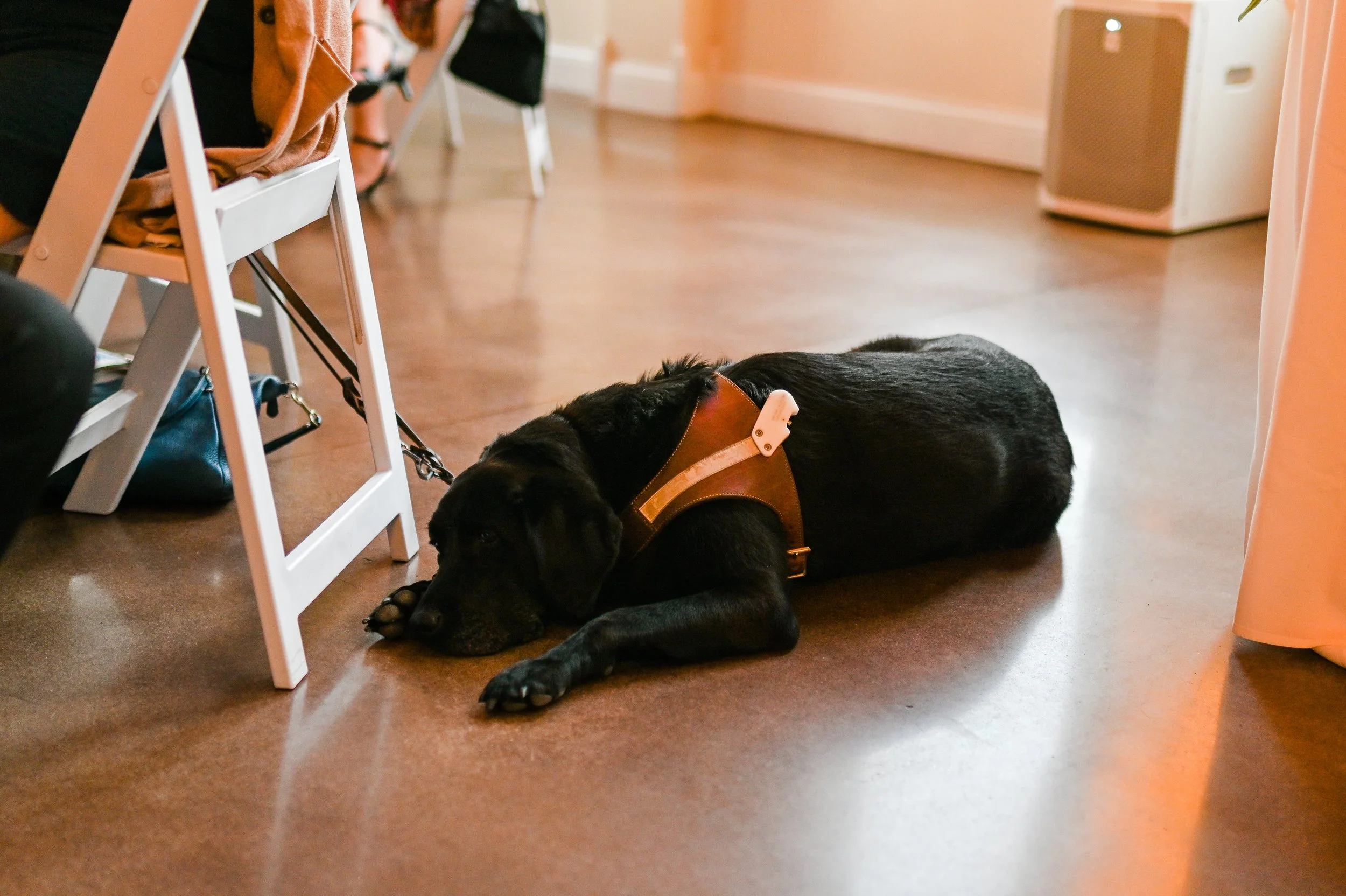 This is a scenic boho elegant rustic view of the inside of the award-winning reception hall outdoor mansion wedding venue Rosewood Manor in Miamisburg at Magnolia Estate. Surrounded by the Greater Dayton, Columbus, and Cincinnati areas. 