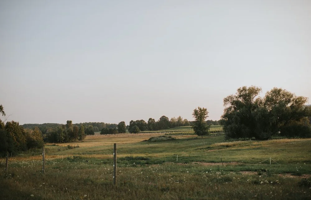 lelandsuttons-16.jpg