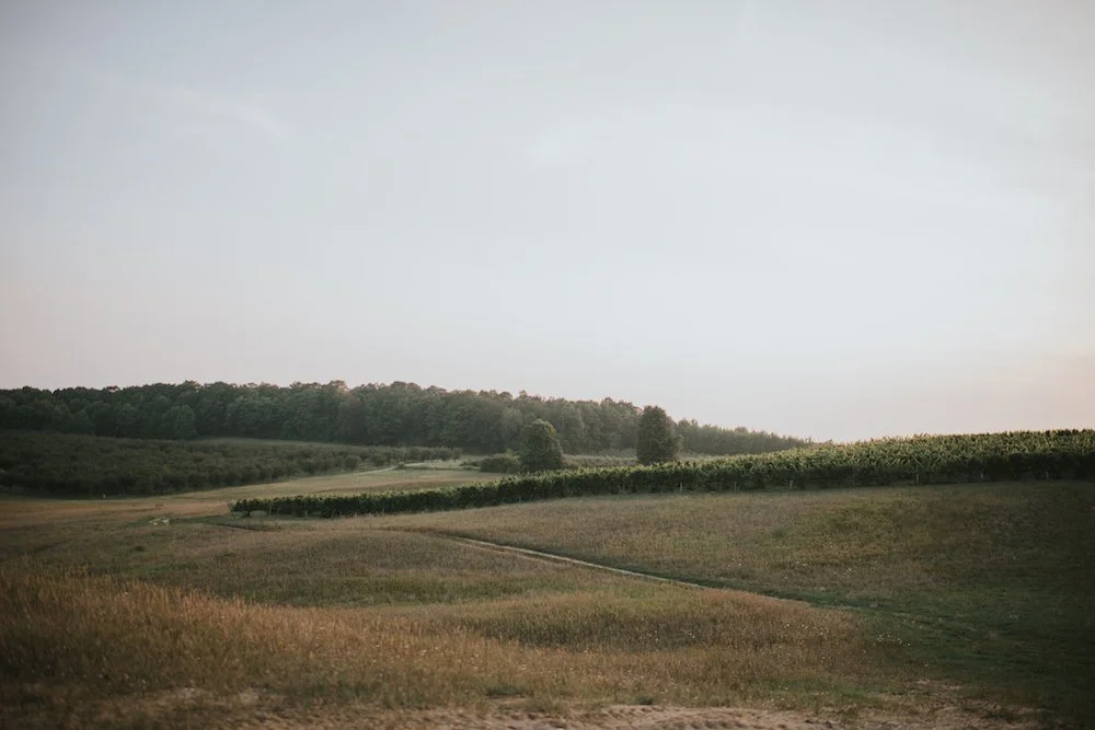lelandsuttons-28.jpg