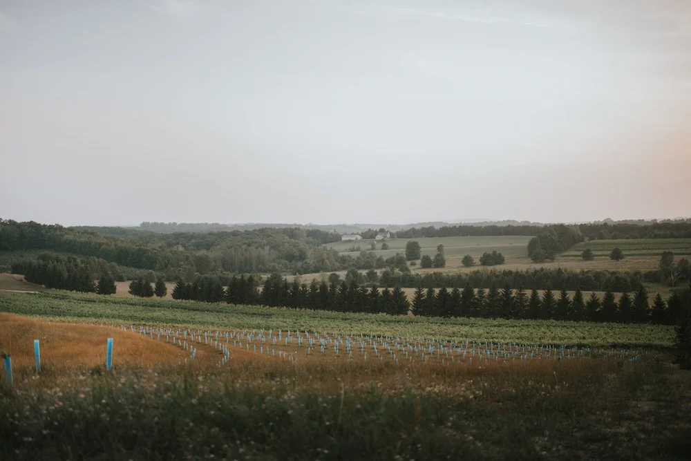 lelandsuttons-34.jpg