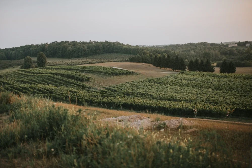 lelandsuttons-38.jpg