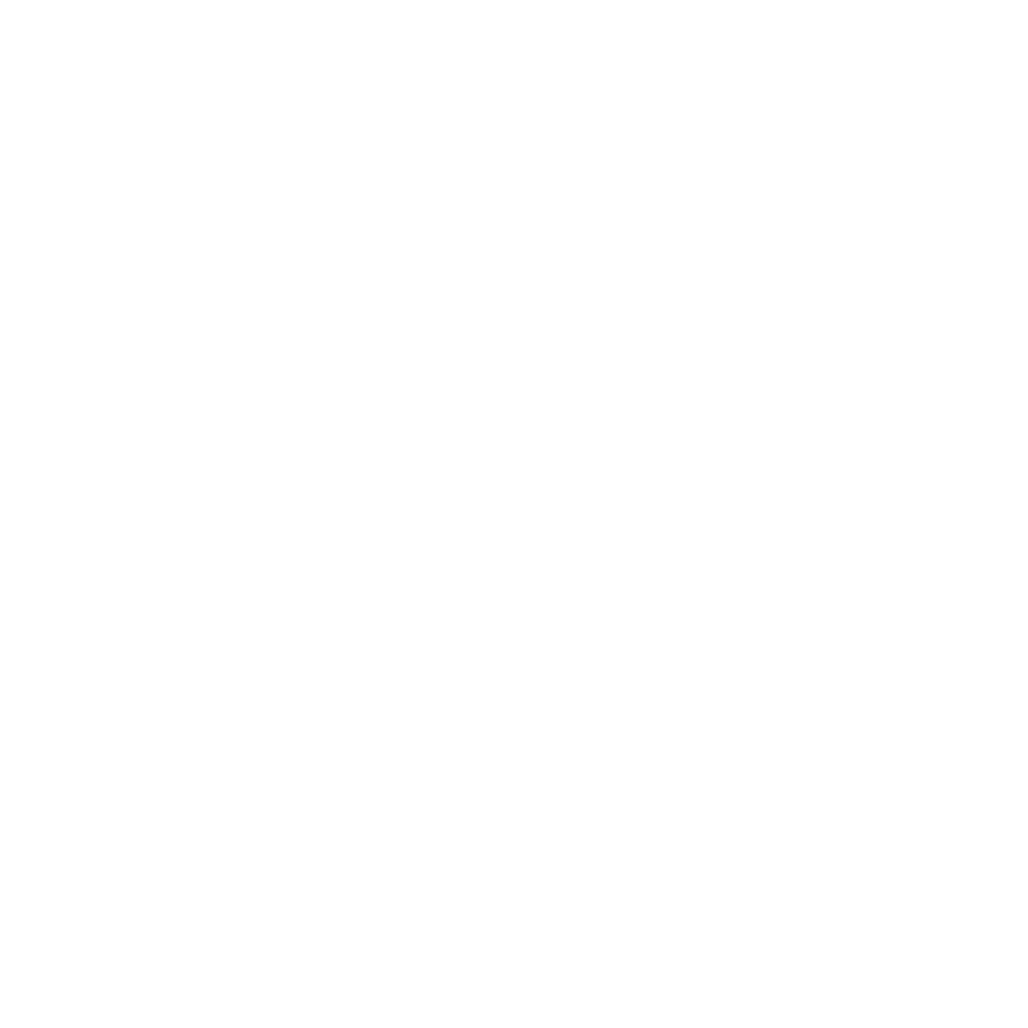 Bridges To Your Dreams Foundation
