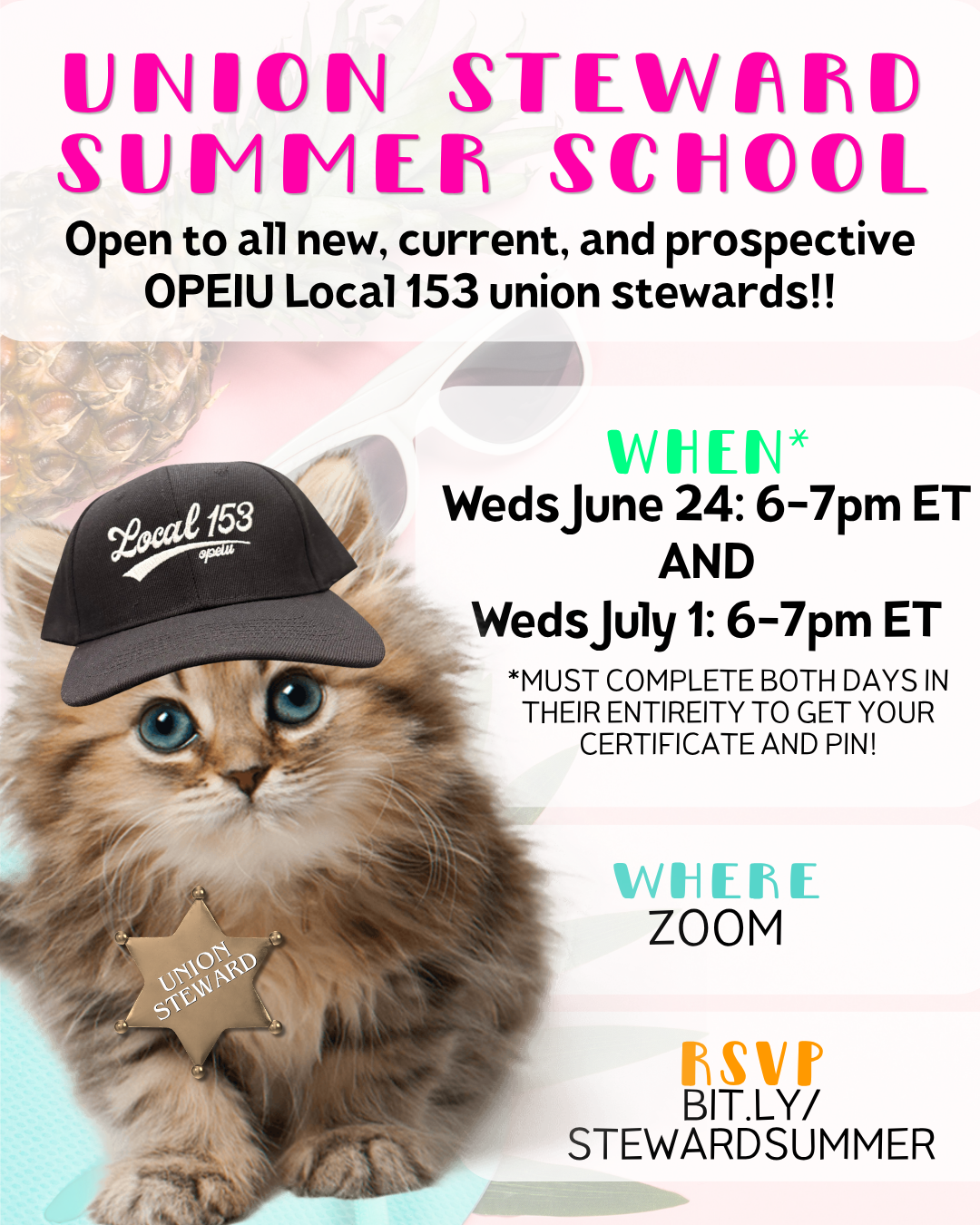 Union Steward Summer School