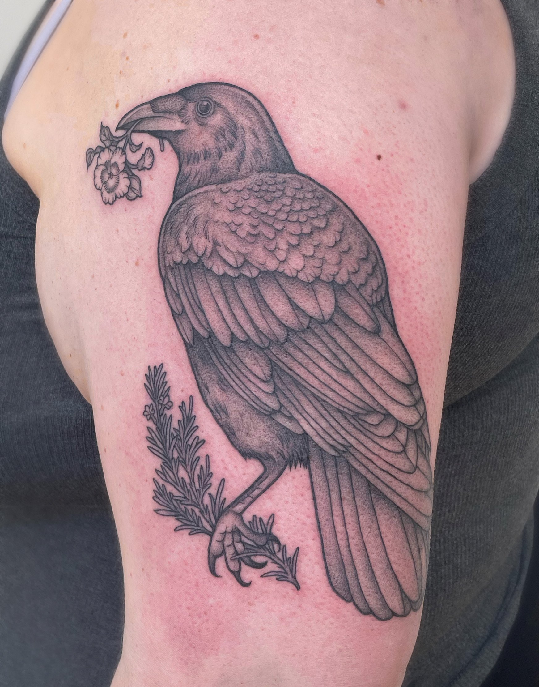 Raven with rosemary sprig and pansy