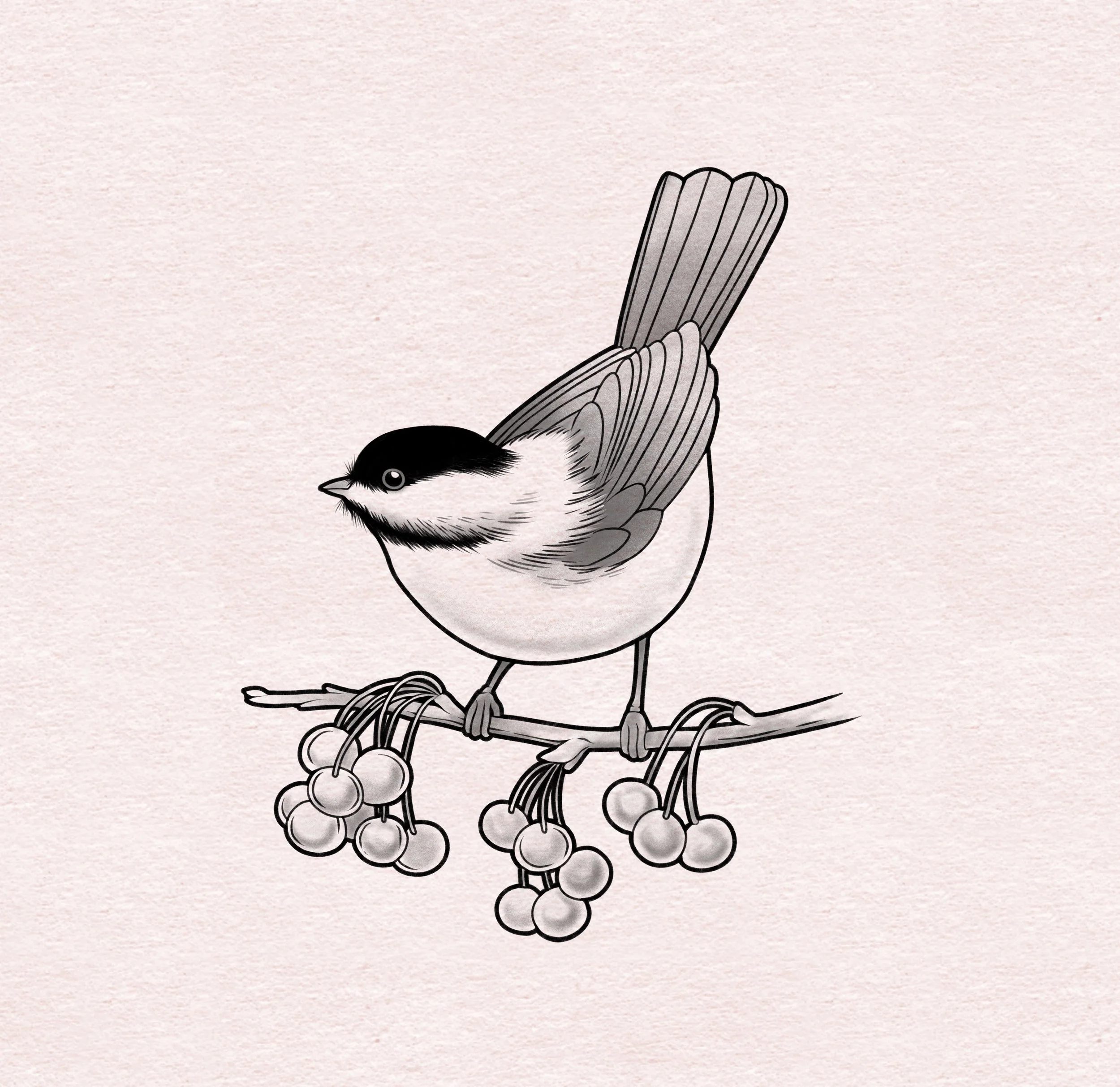 Chickadee - 5"