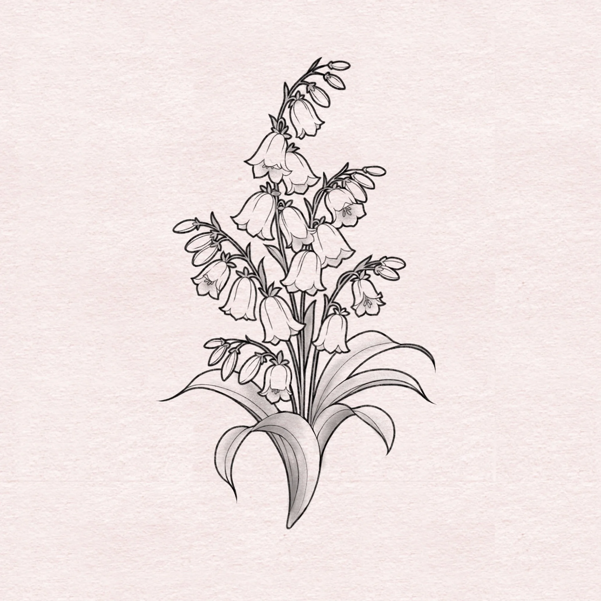 Bluebells - 6”