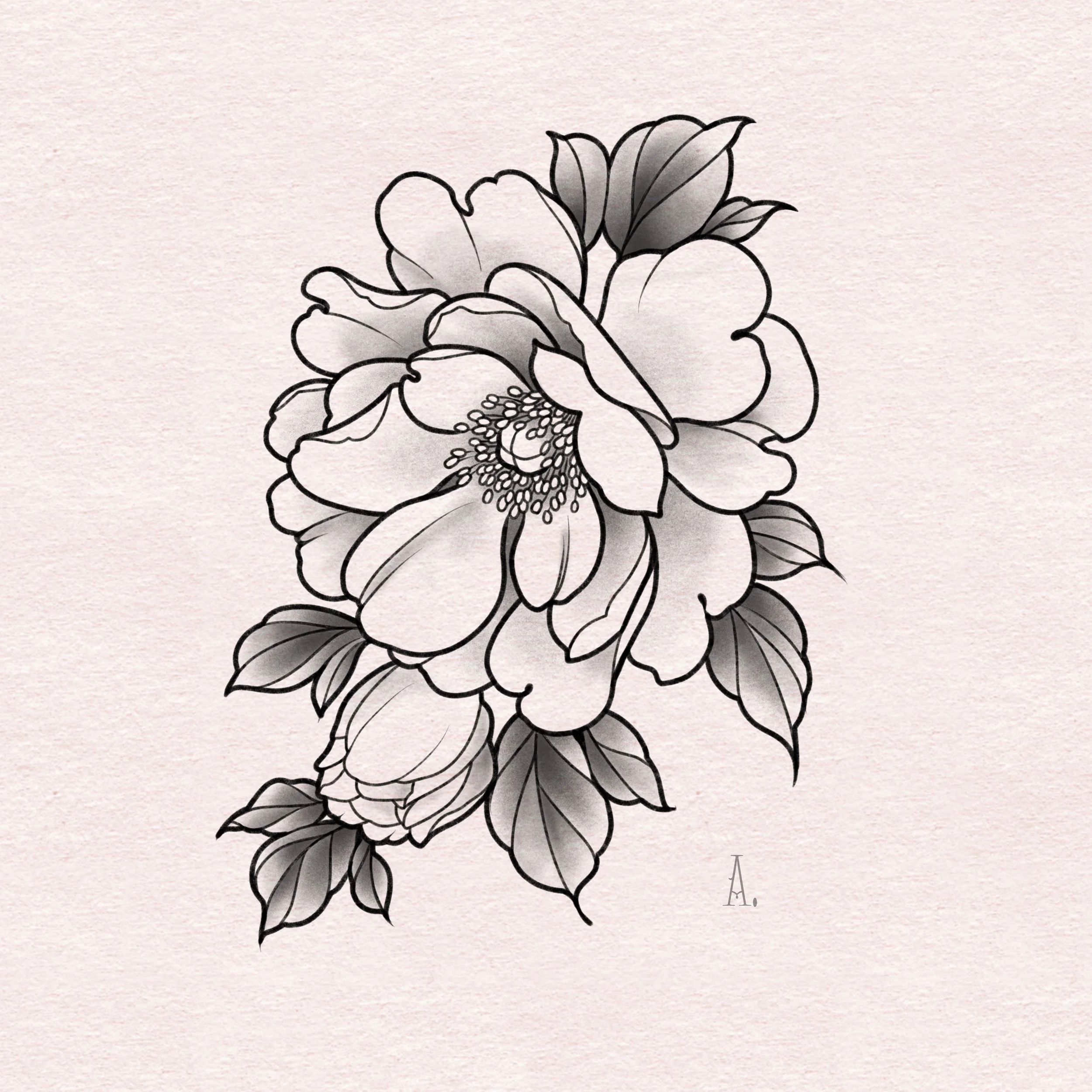Peony A - 6"