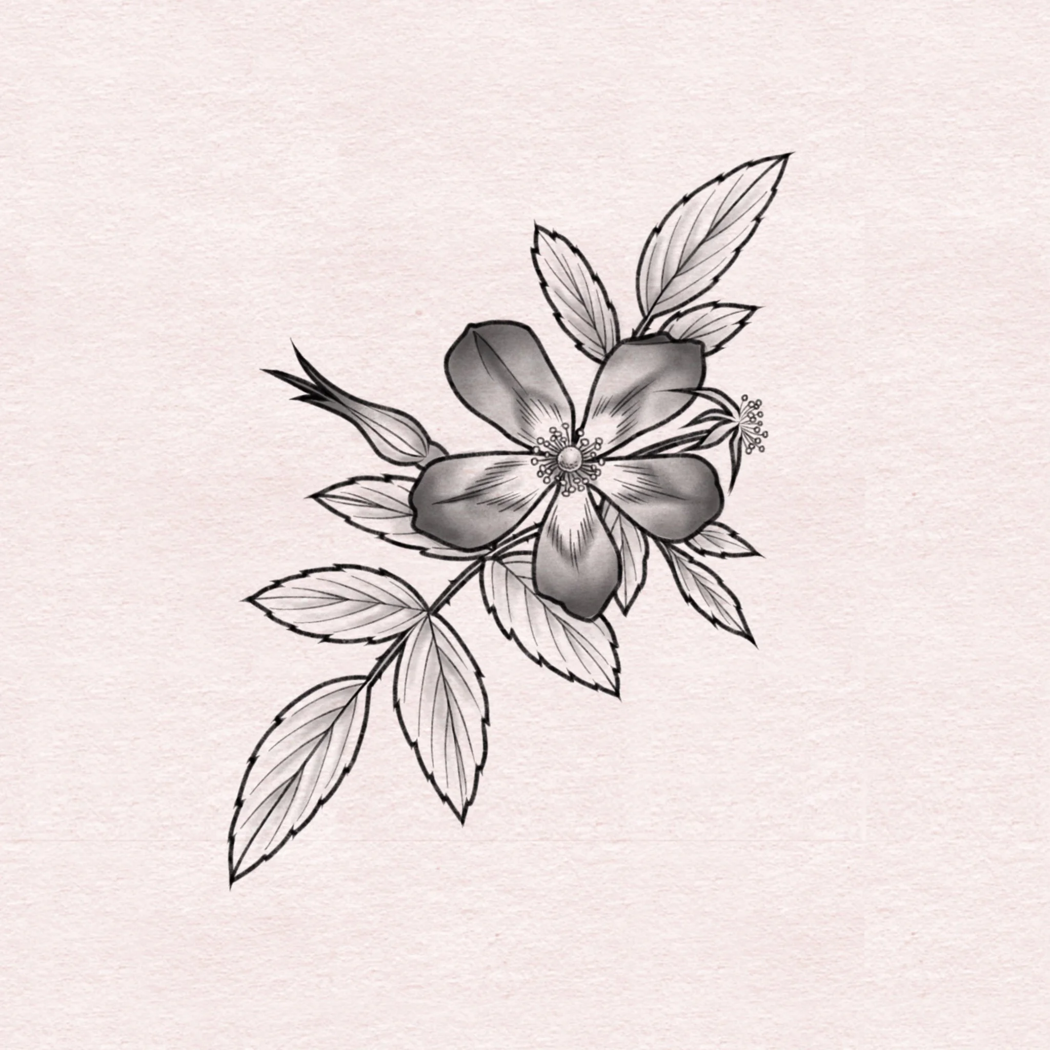 Redleaf Rose - 5”