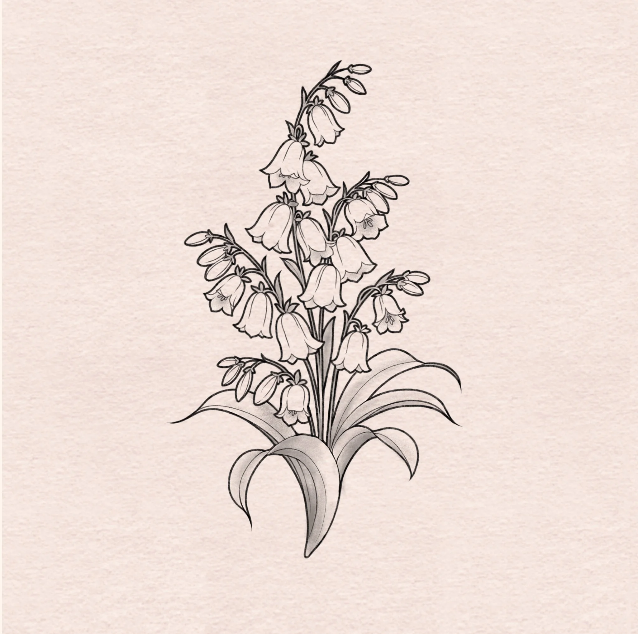 Bluebells - 6"