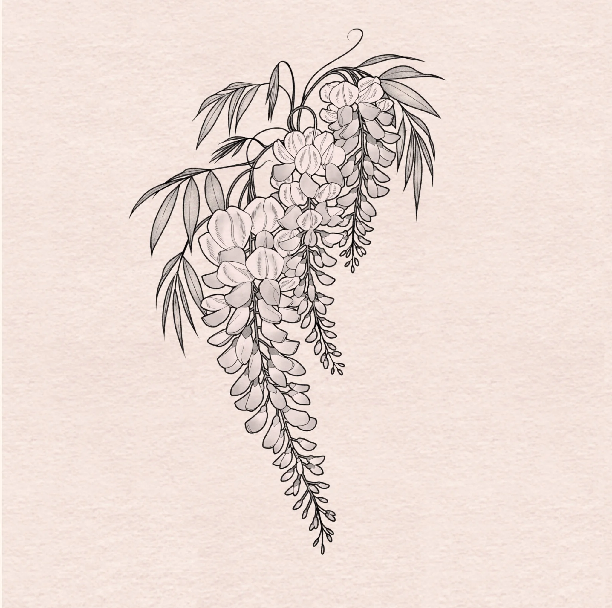 Wisteria - 10"