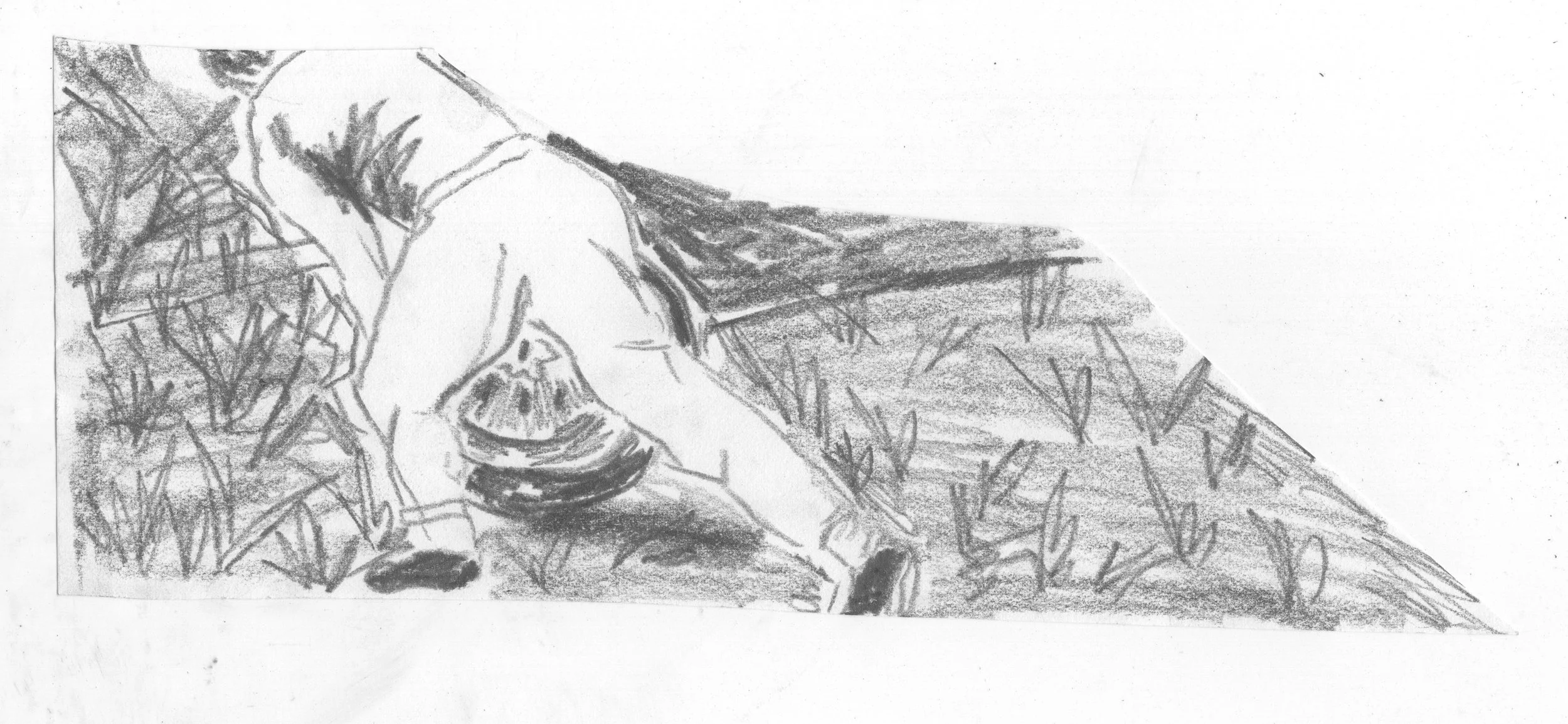 scan 3.jpg