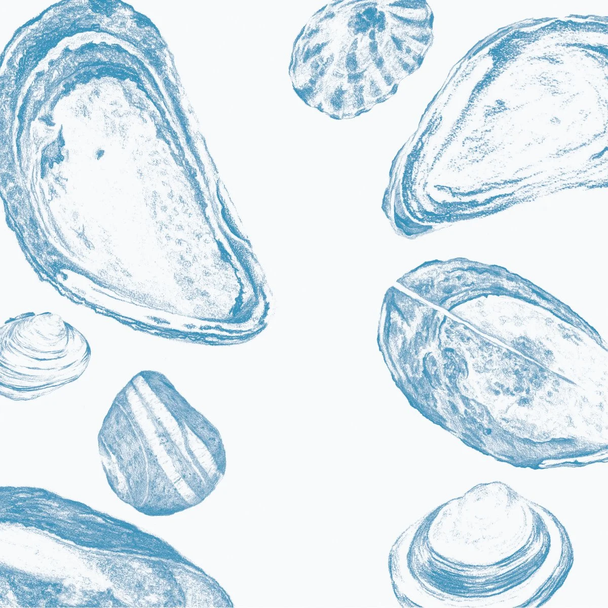 Beach Shell Surface Pattern repeat