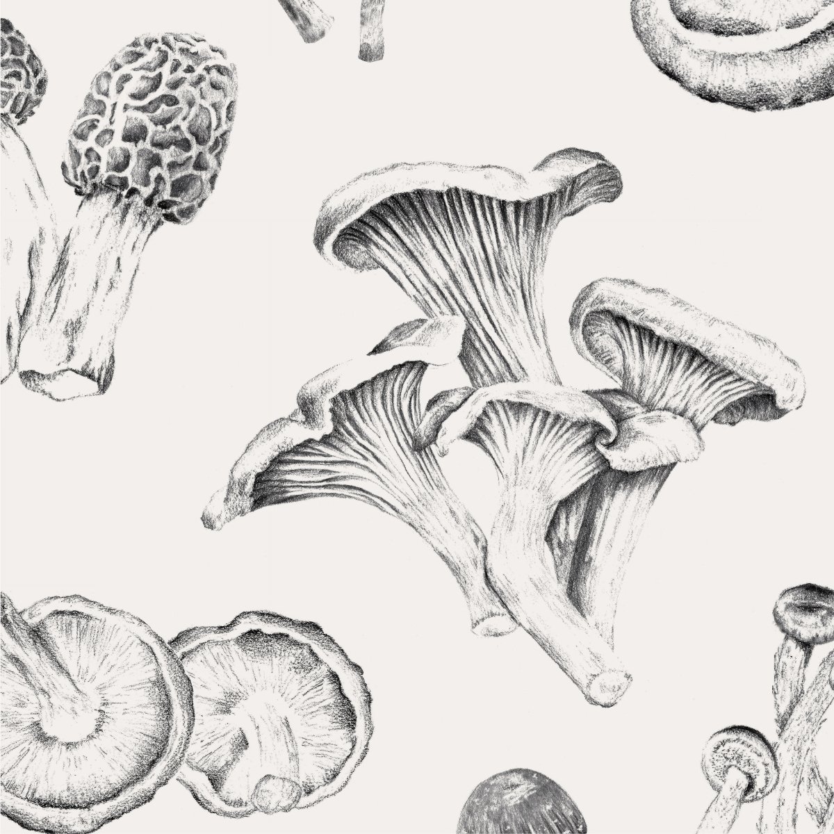 Mushroom Surface Pattern repeat