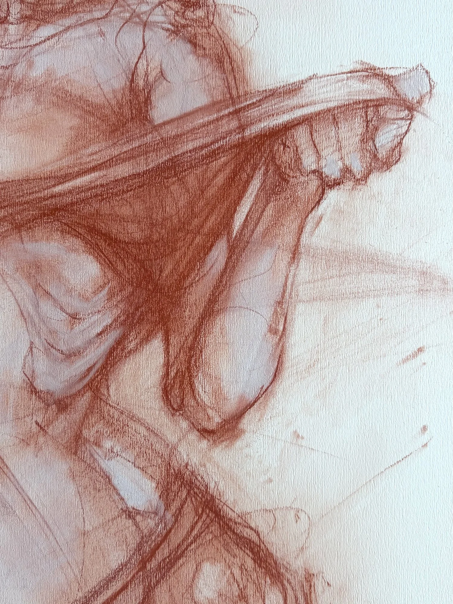VenusXXII_03.jpg