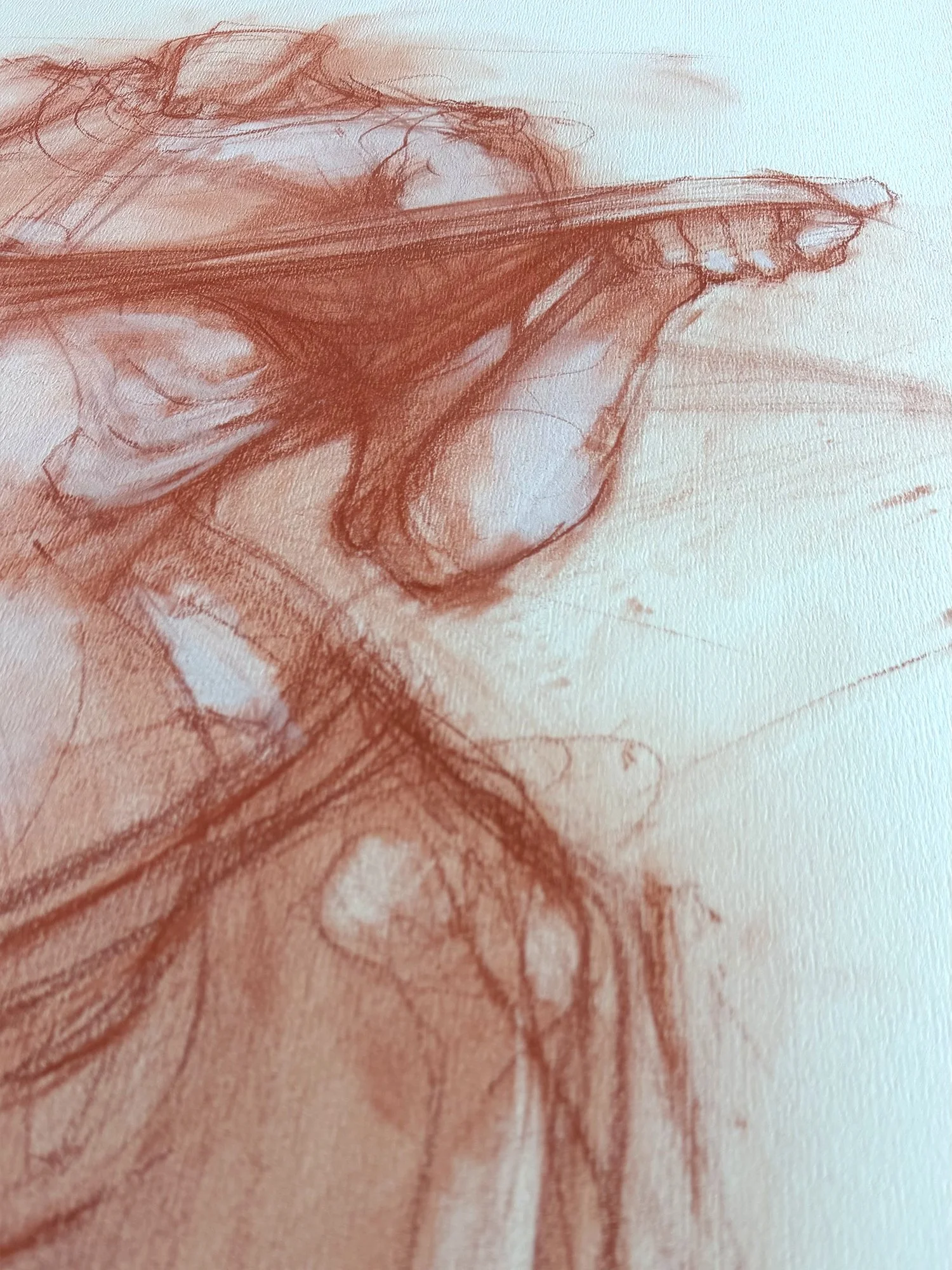 VenusXXII_04.jpg