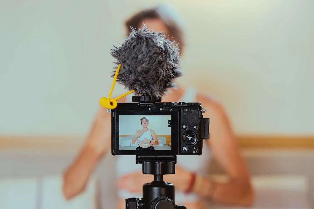 talent and influencer management