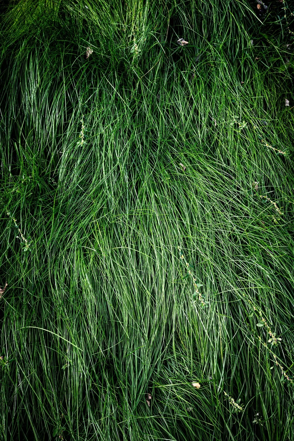 _DSC1691.webp