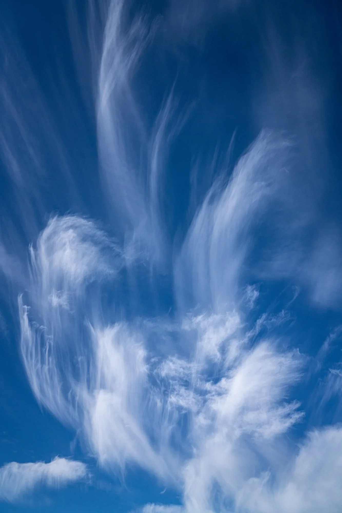_DSC3628.webp