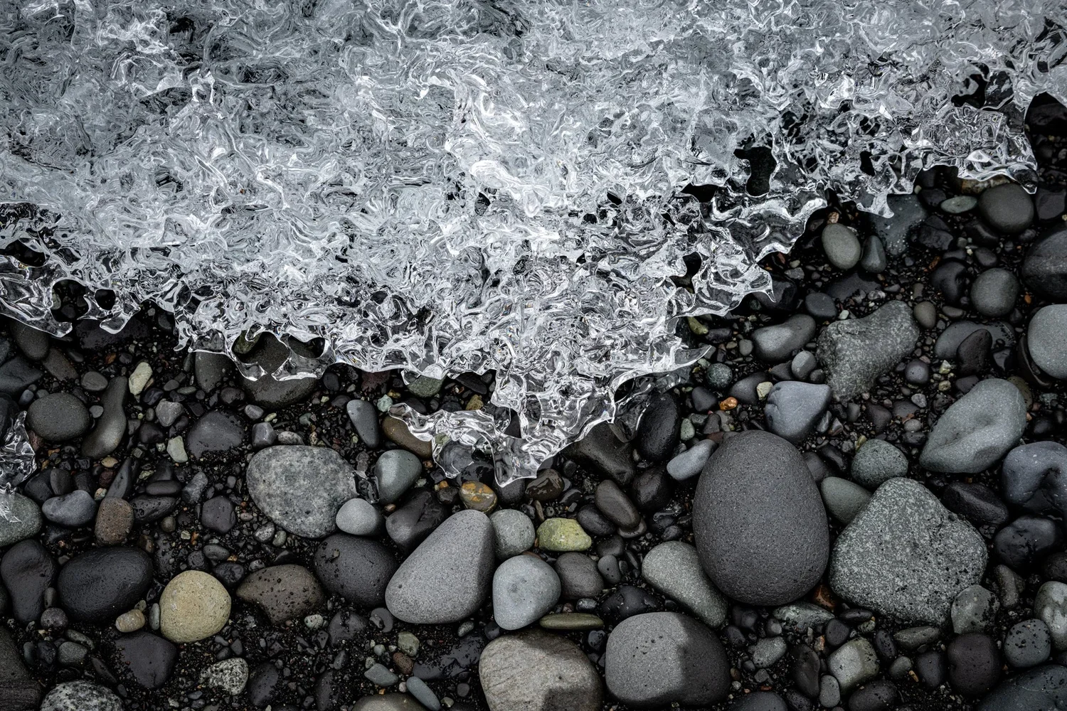 _DSC1421.webp