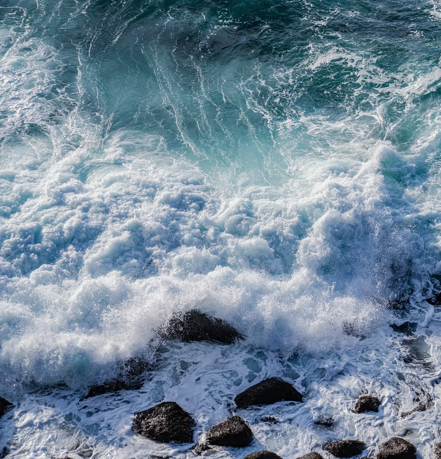 _DSC3656.webp