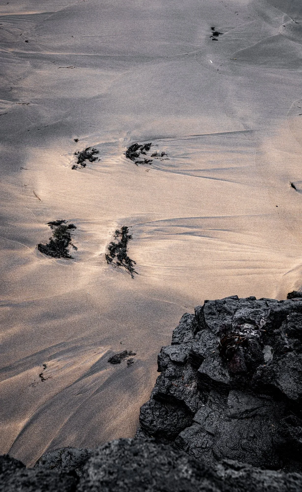 _DSC3494.webp