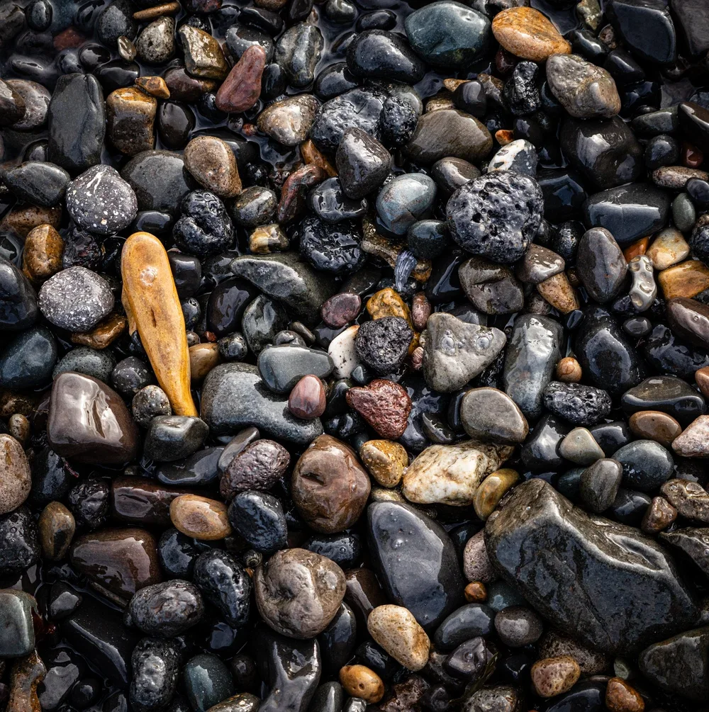 _DSC3250.webp
