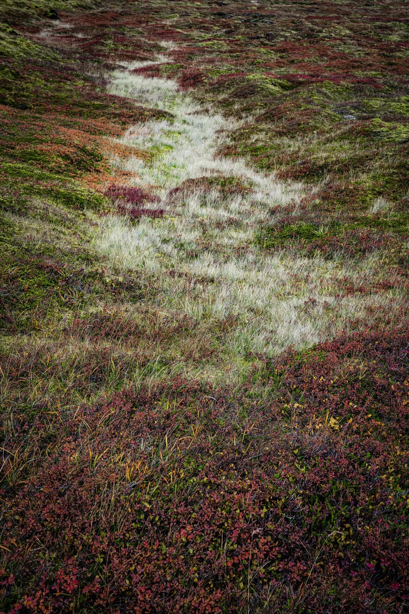_DSC3452.webp