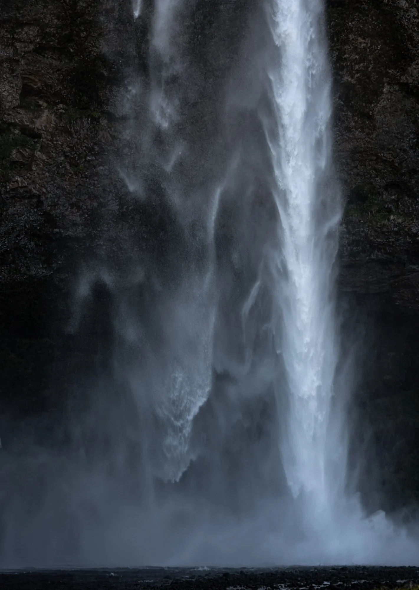 _DSC0614-Enhanced-NR.webp