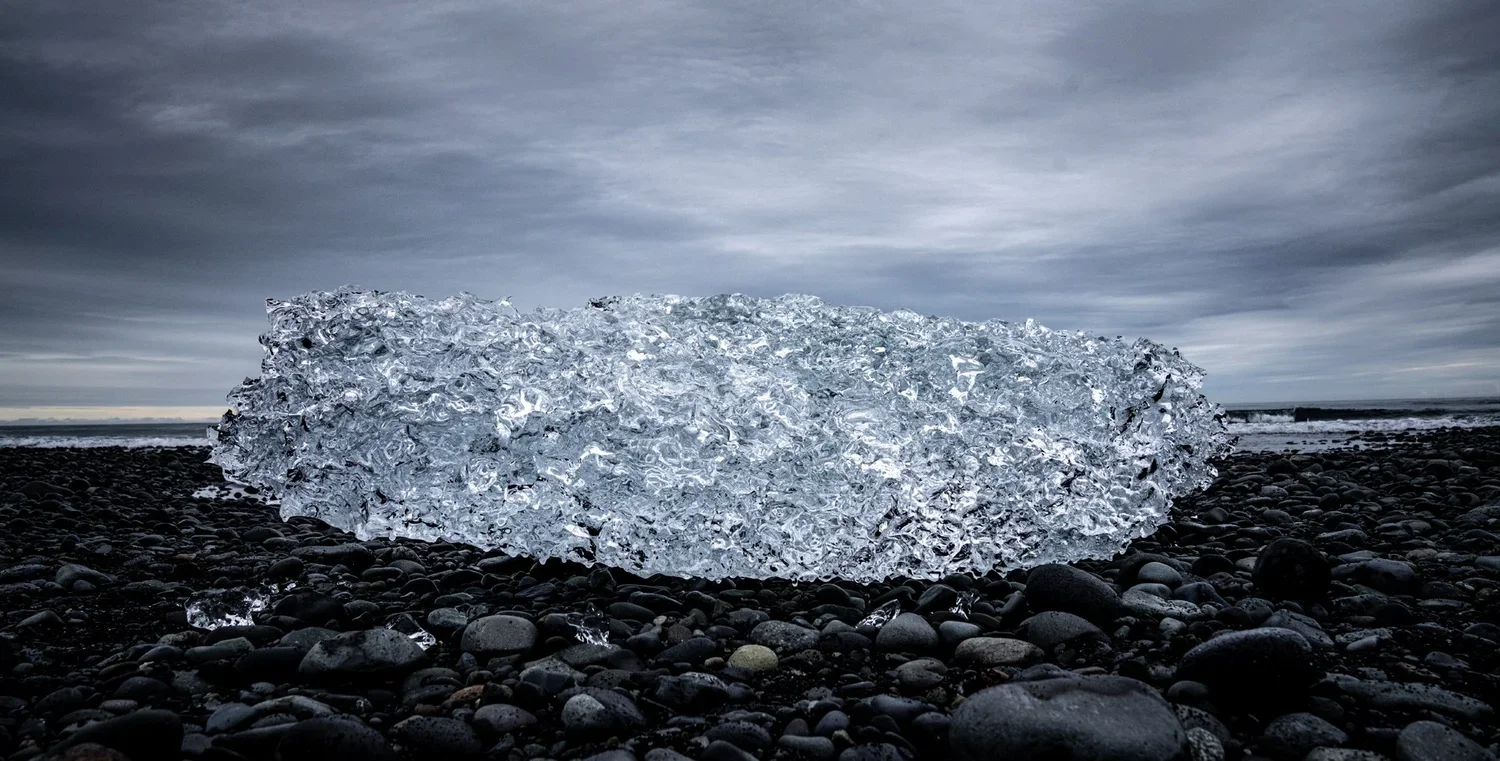 _DSC1449.webp