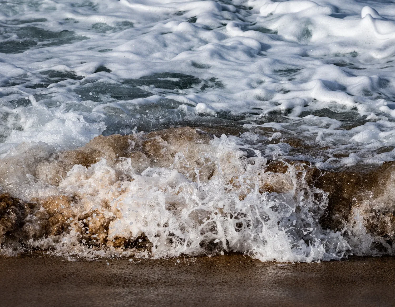 _DSC3558.webp