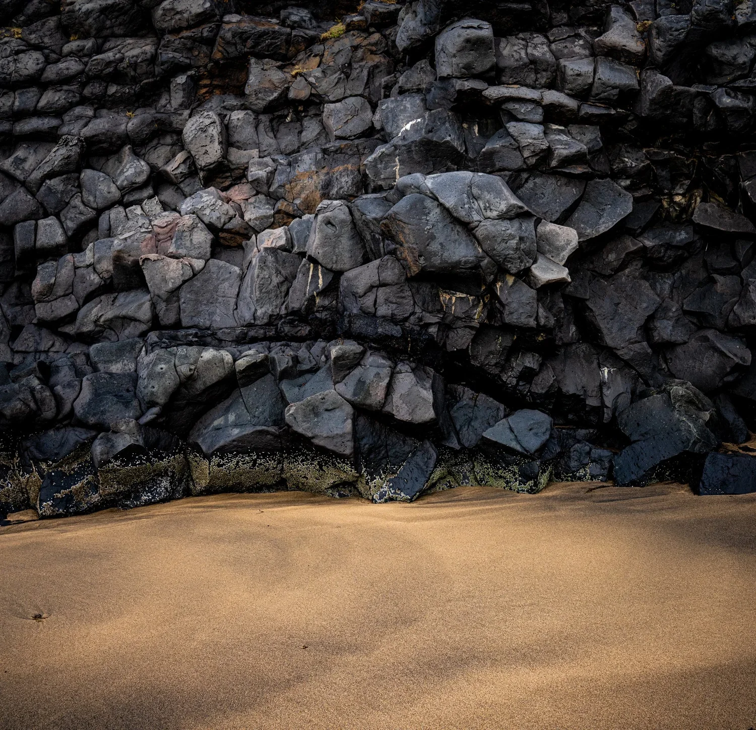 _DSC3507.webp