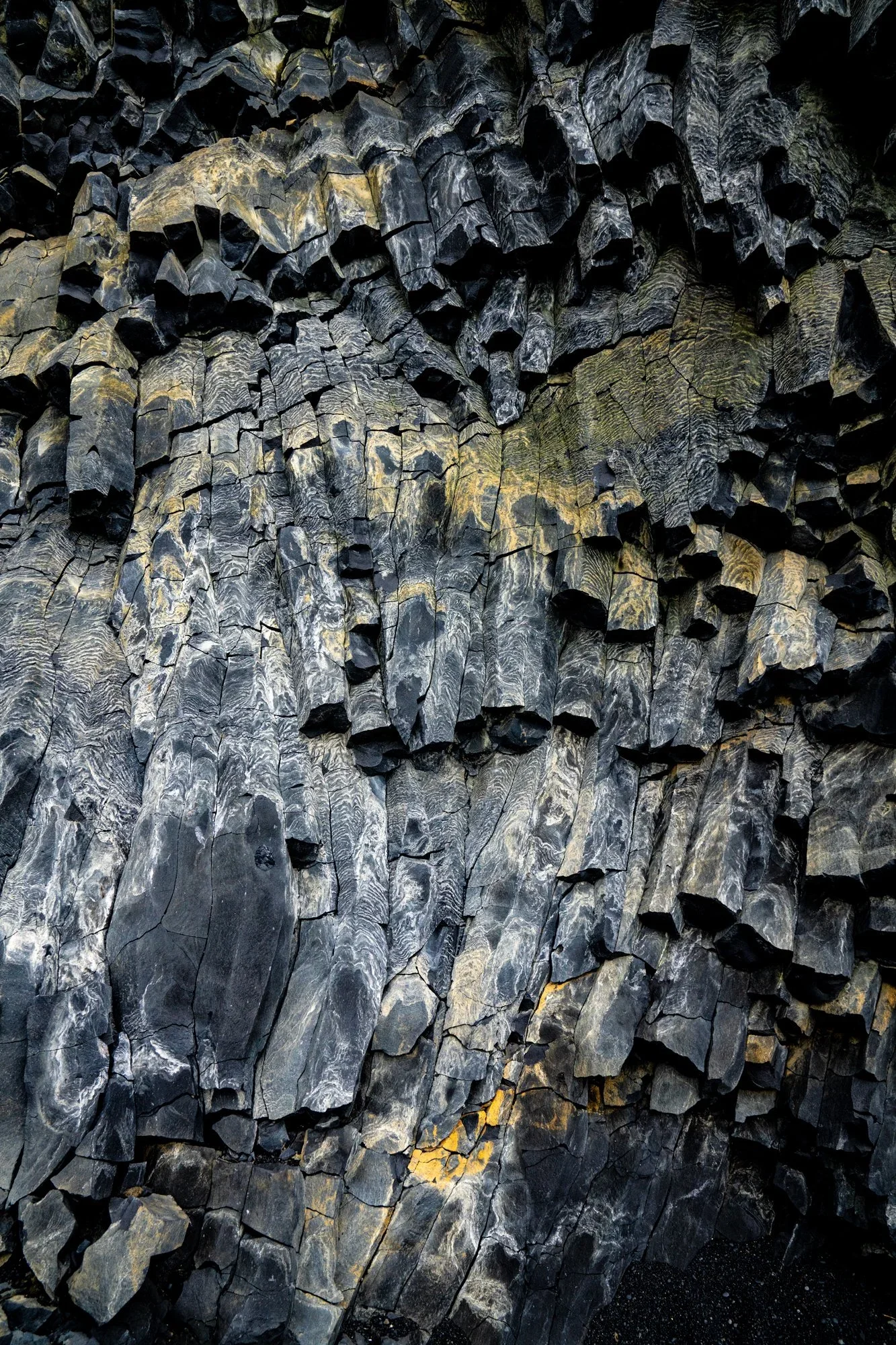 _DSC0998.webp