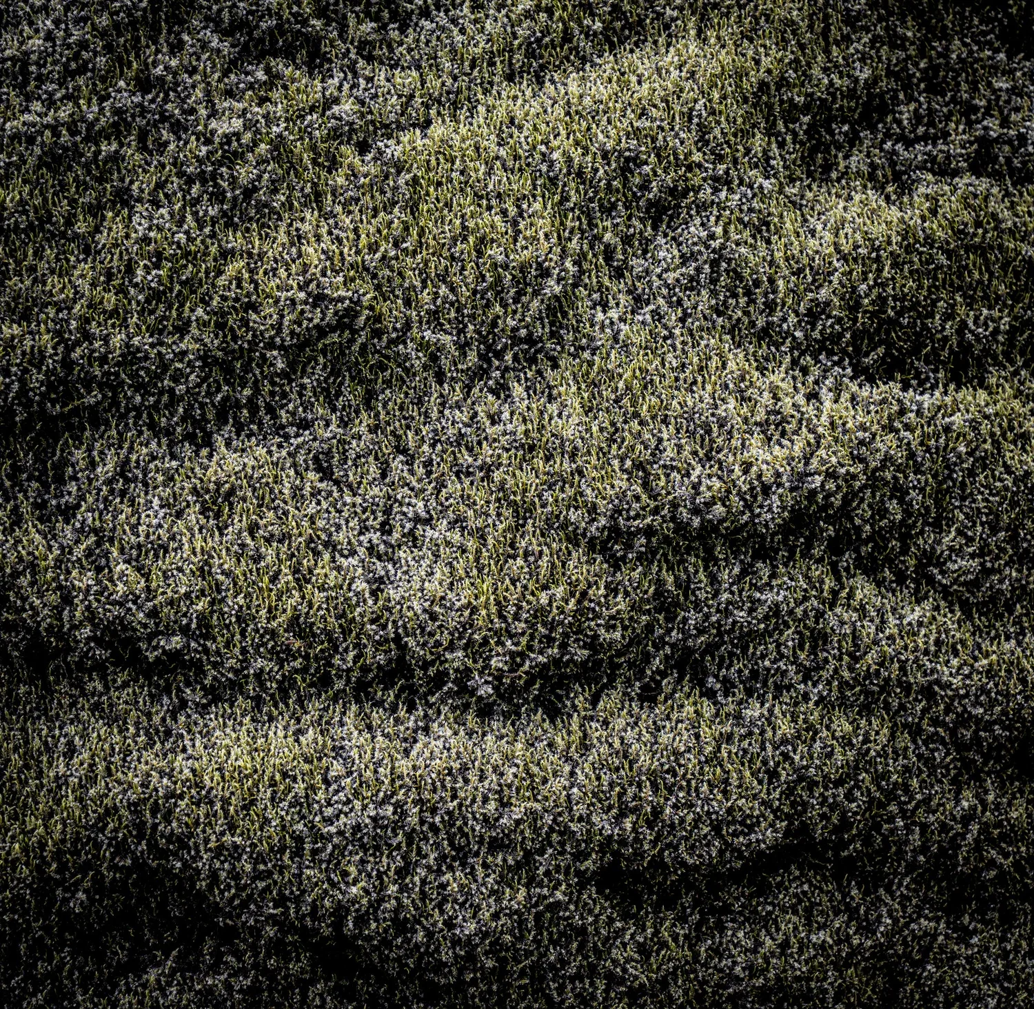 _DSC1127.webp