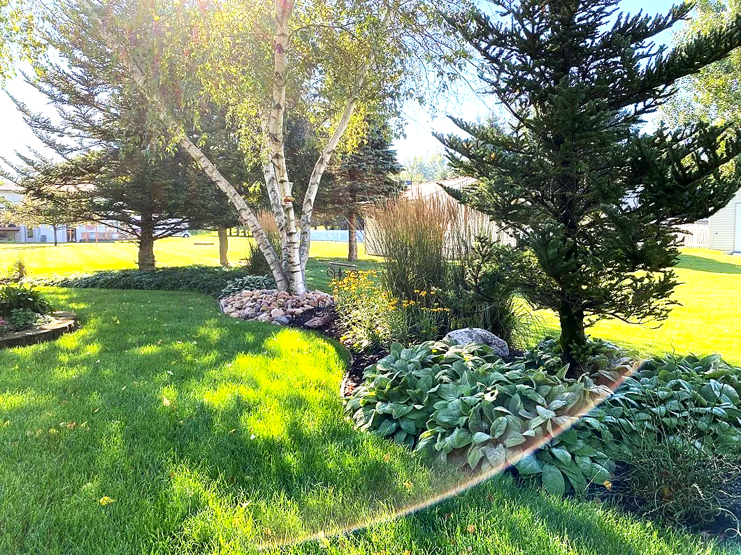 A lush green backyard garden with a grassy lawn, tall evergreen and deciduous trees, flowering plants, rocks, and a sunbeam creating a rainbow-like railing across the lower part of the image.