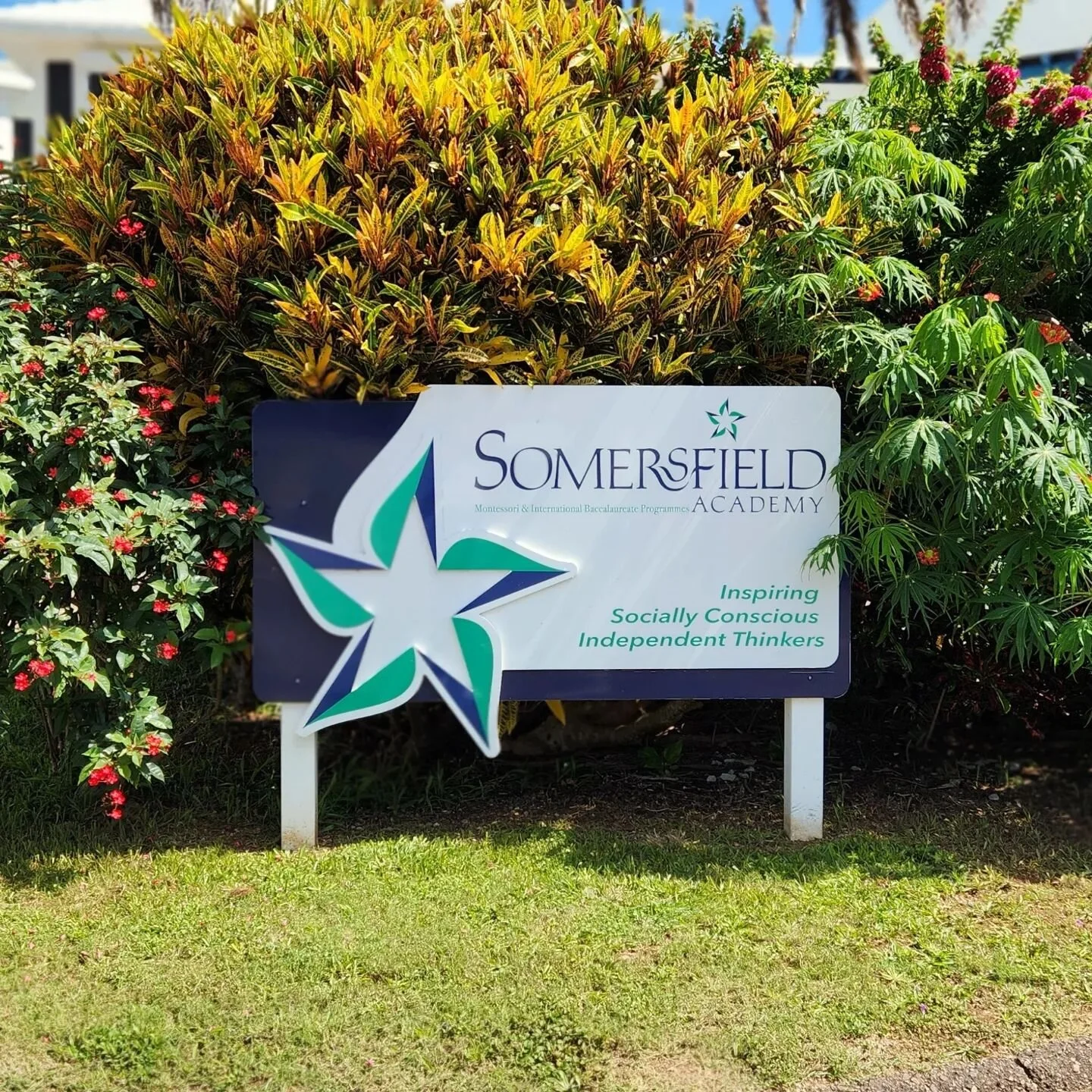 Gallery โ Somersfield Academy
